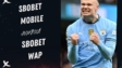 Manfaat dan Keuntungan Menggunakan Sbobet Wallet